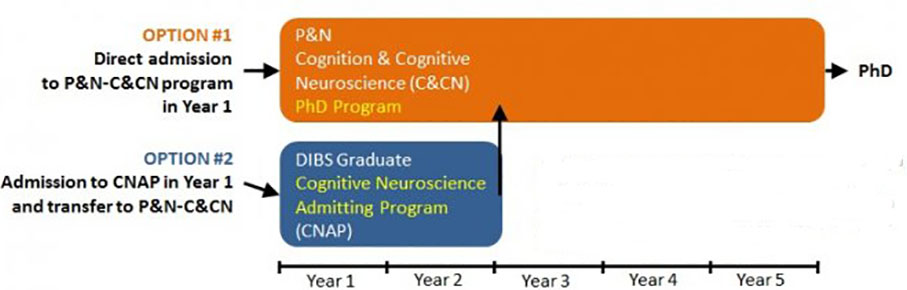 cognitive neuroscience dissertation