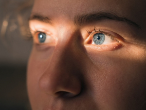 Duke Researchers Find Our Eyes May Hold Evolutionary Secrets