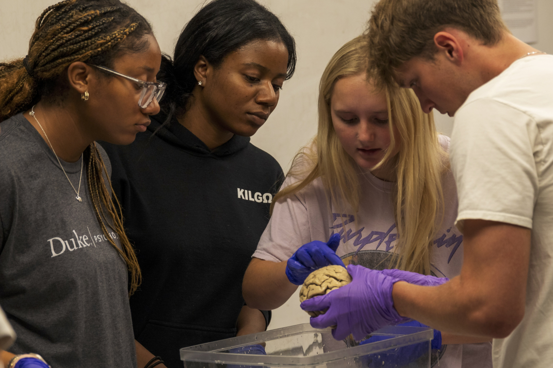 Neuroscience Teaching Lab 