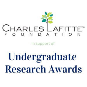 Undergraduate Research Awards